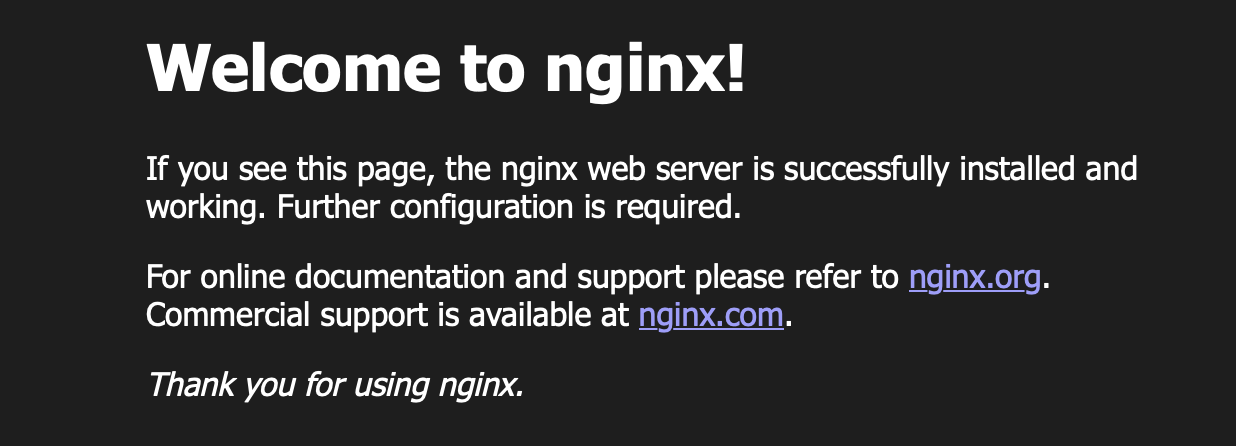 The result of browsing to the phones' ip address on port 8080 in a browser.